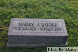 Harry J. Woolf