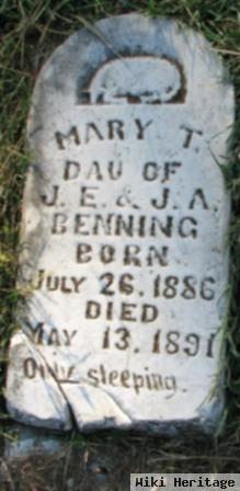 Mary T Benning