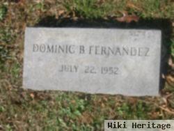 Dominic B Fernandez