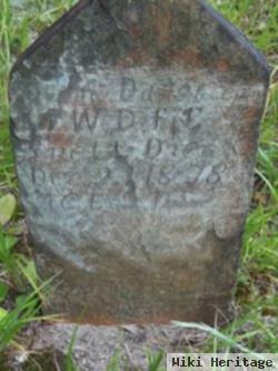 Infant Daughter Of Wd & Fe Snell