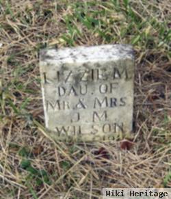 Lizzie Minerva Wilson