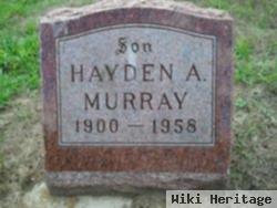 Hayden Ambrose Murray