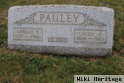 Laura A. Pauley