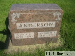 Andrew P. Anderson