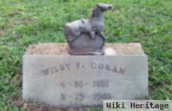 Wiley Francis Doran