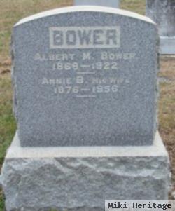 Albert M Bower