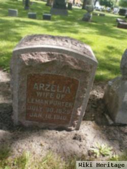 Arzelia A Benedict Porter