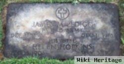 James M Pedigo