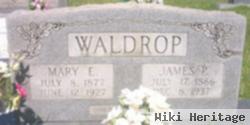 Mary Elizabeth Pruitt Waldrop