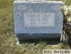 Herman Andrew Losey