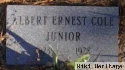 Albert Ernest Cole, Jr