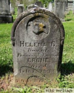 Helena C Crone