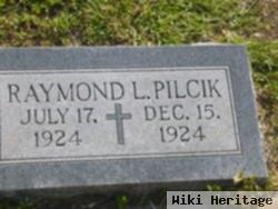 Raymond L Pilcik