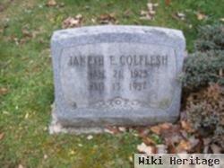 Janeth E Hellein Colflesh