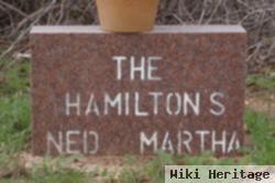 Ned Hamilton