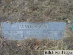 Tildon T Anderson