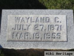 Wayland William Porter