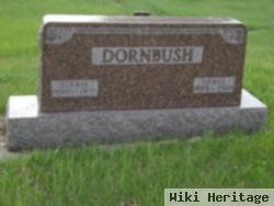 Henry Dornbush