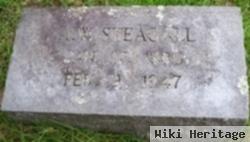 A. W. Steagall