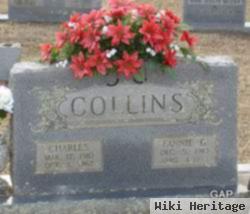 Fannie Gilliam Collins Stepp