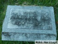 Alice V. Bollard