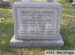 William Lloyd Johnson