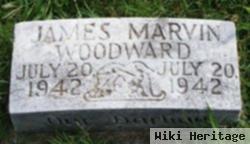 James Marvin Woodward