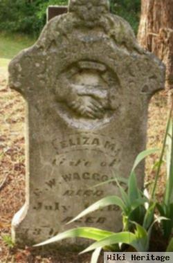 Eliza M. Deeds Waggoner