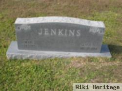 Bessie Ann Jenkins