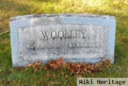 Charles E. Woolley