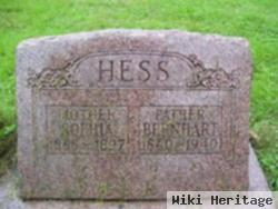 Bernhart Hess