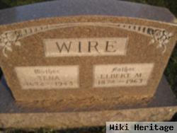 Elbert Mortimer Wire