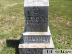 William T Delaney