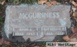 Hugh J. Mcguinness