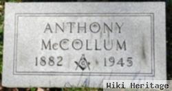 Anthony Mccollum