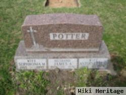 Sophronia M. Potter