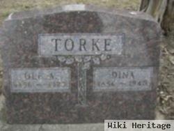 Ole Torke