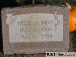 Betsy A Bray