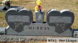 Mary Murray