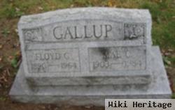 Floyd G Gallup