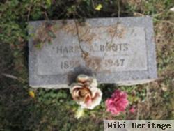 Harry A. Boots