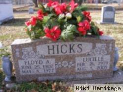 Hester Lucille Kindred Hicks