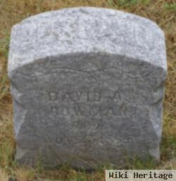 David Alfred Bowman