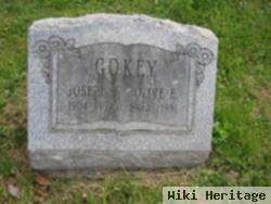 Joseph Gokey