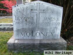 James J. Moloney