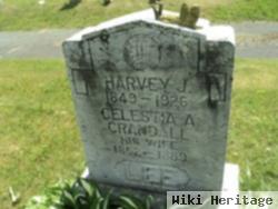 Harvey J Lee