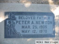 Peter A Newton