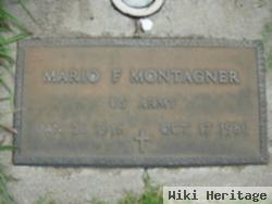 Mario F Montagner