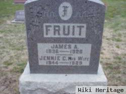 James Ashmore Fruit