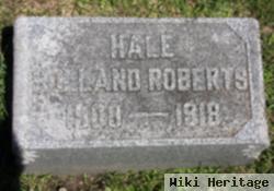 Hale Holland Roberts